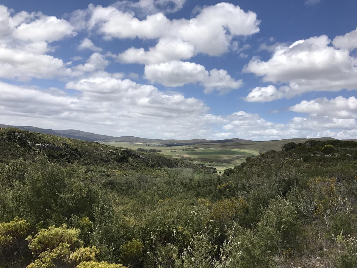Goedvertrou Guest Farm Papiesvlei Экстерьер фото