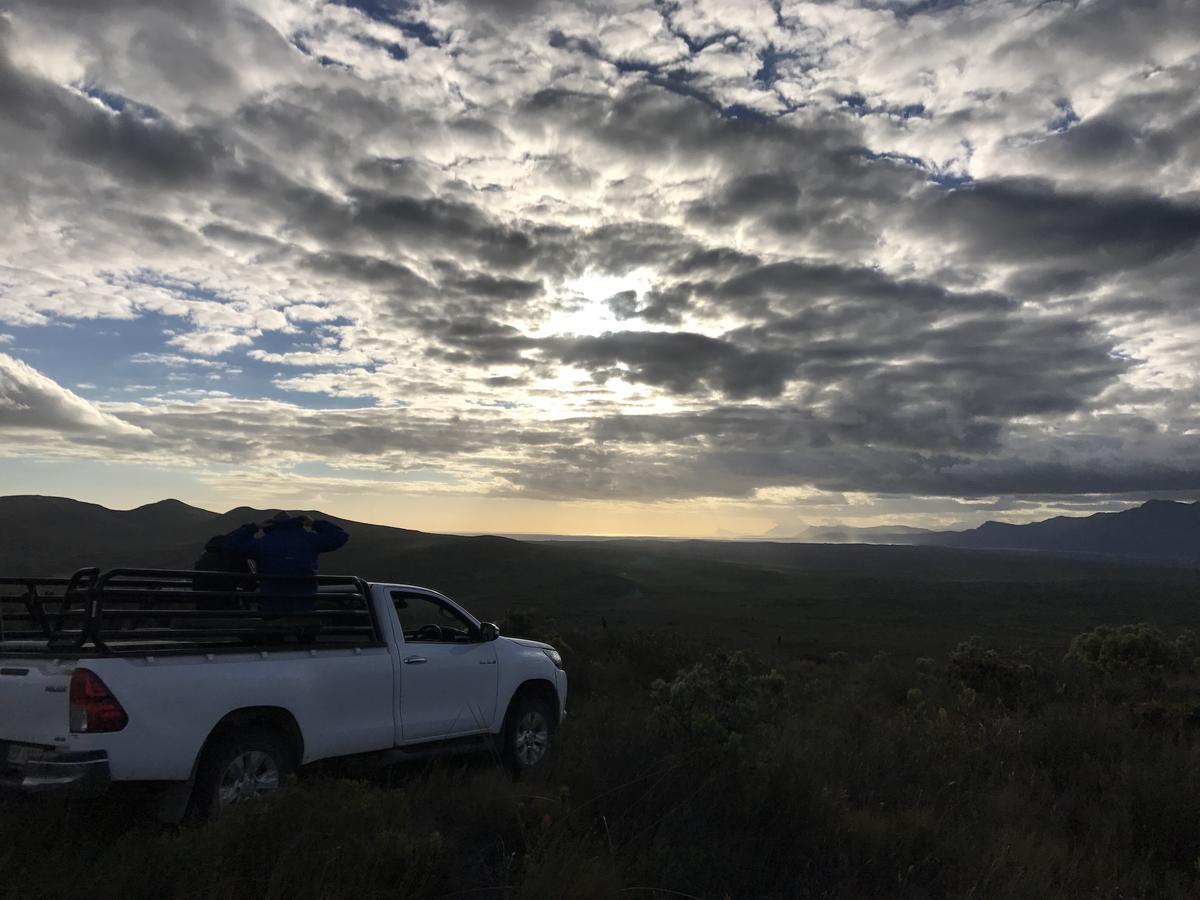 Goedvertrou Guest Farm Papiesvlei Экстерьер фото